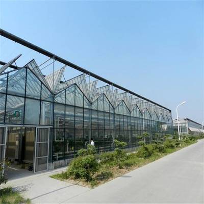 智能温室厂家 育苗温室施工