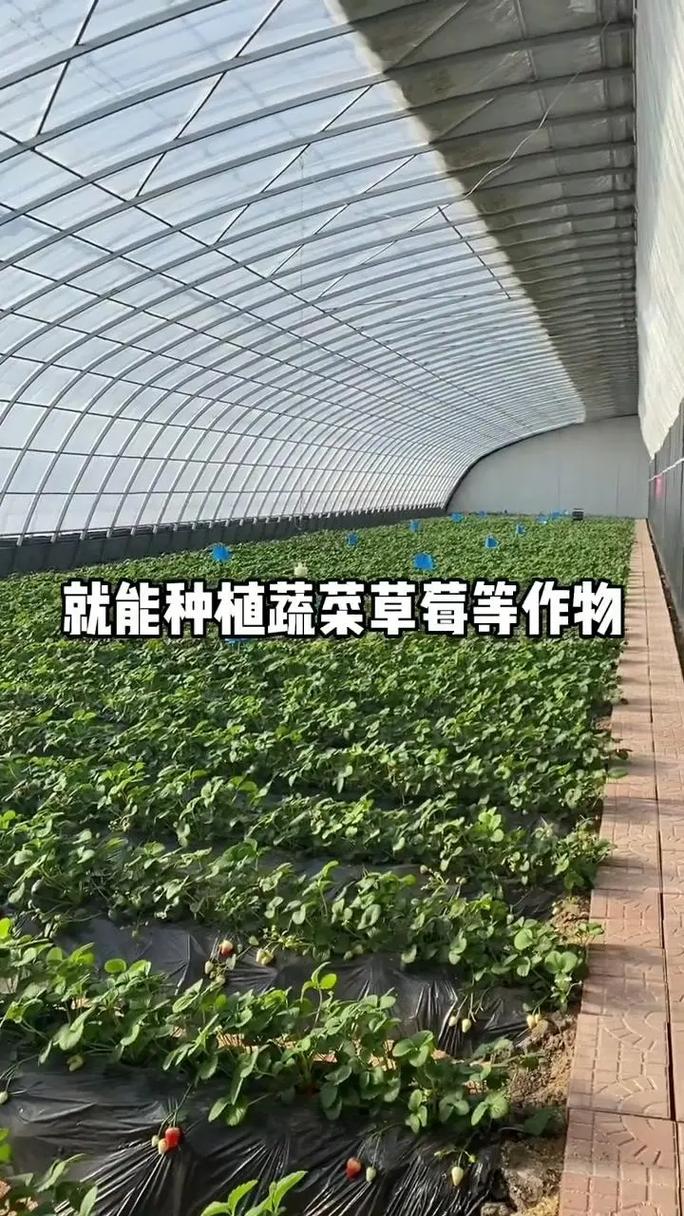 双层智能温室大棚,适合北方寒冷地区.1保温性能非常优