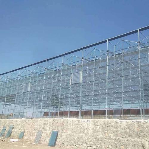 厂家安装建设智能温室 山东智能温室大棚建设 柏科阿姆农业