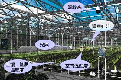 智能温室,现代农业发展新方向!